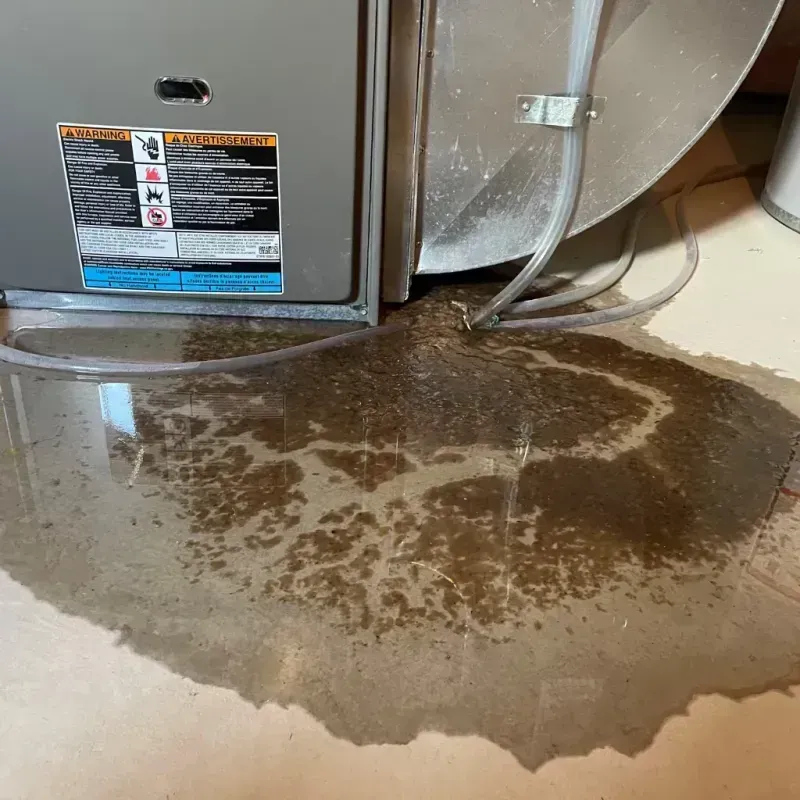 Appliance Leak Cleanup in Mobile County, AL